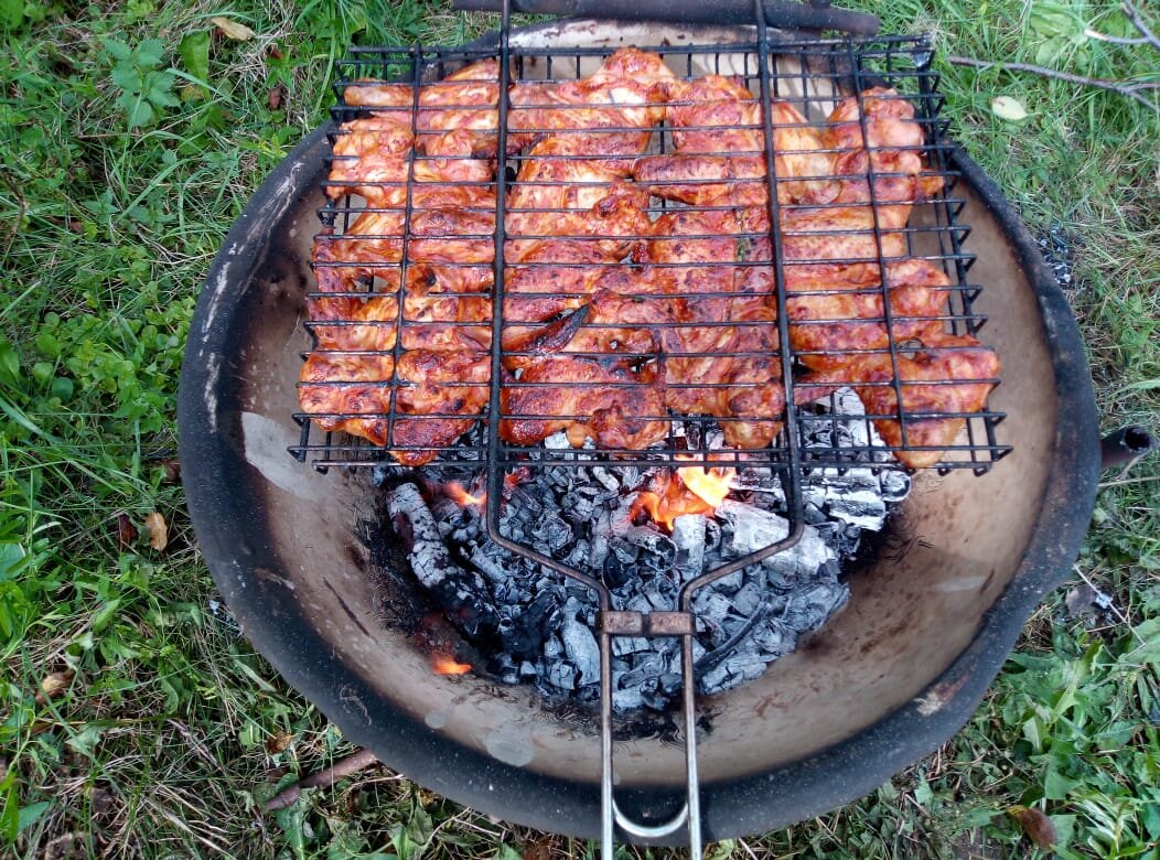 Куриные крылышки, замаринованные в чём то вкусном.