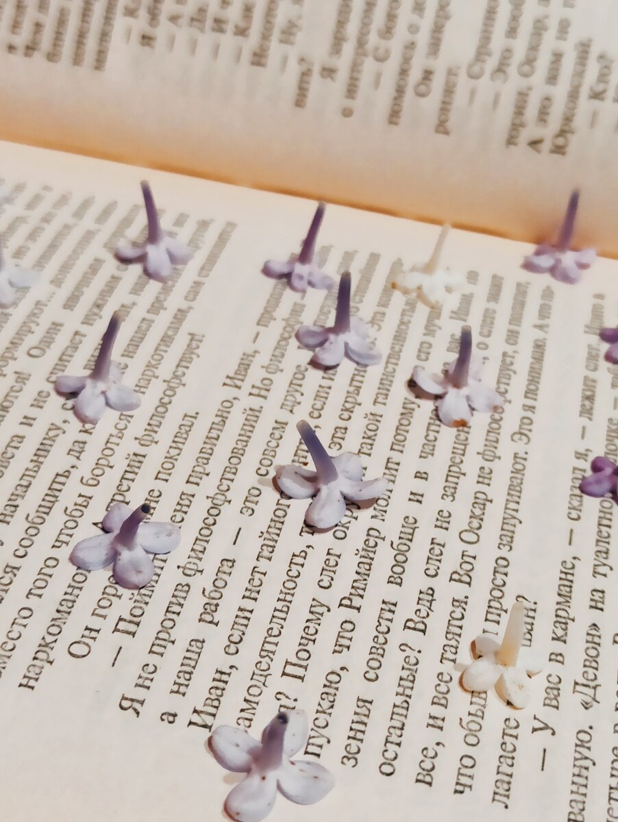 Подготовка сухоцветов