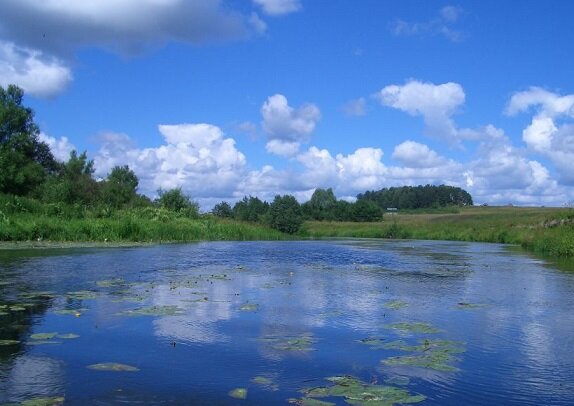 Протва. Район села Залучное