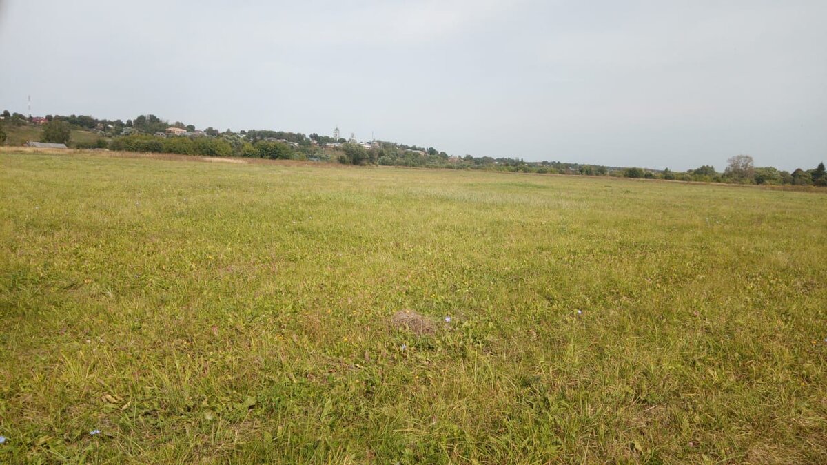 Один день  жизни моих козлопотамчиков в фото...