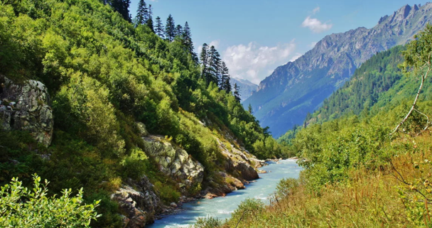 Фотография взята из источника yandex.ru  