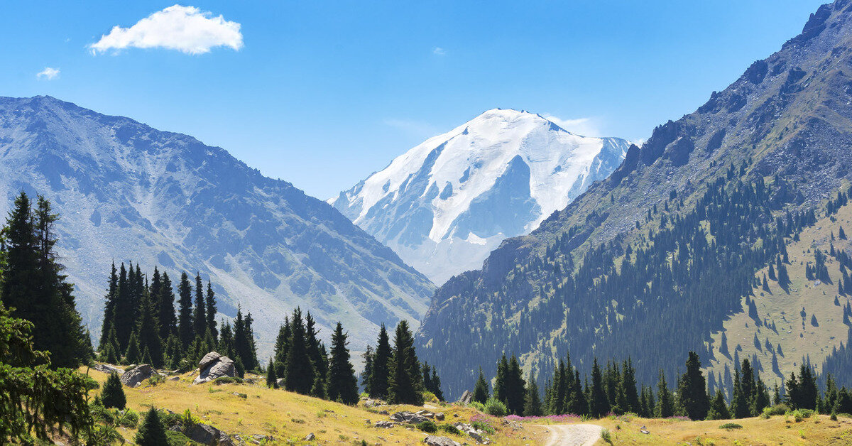 яндекс картинки