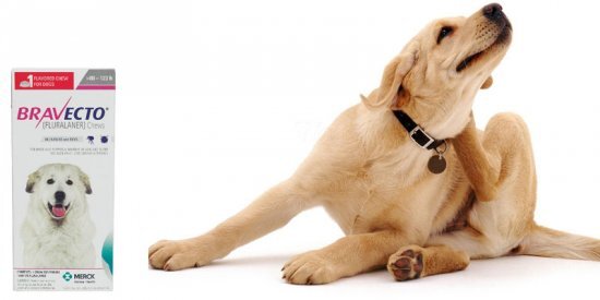 
Производитель утверждает, что эффективность использования препарата в случае борьбы с блохами составляет 100%, а при применении от клещей – 99%