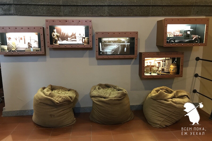 Фото: "Всем пока, ёж уехал"