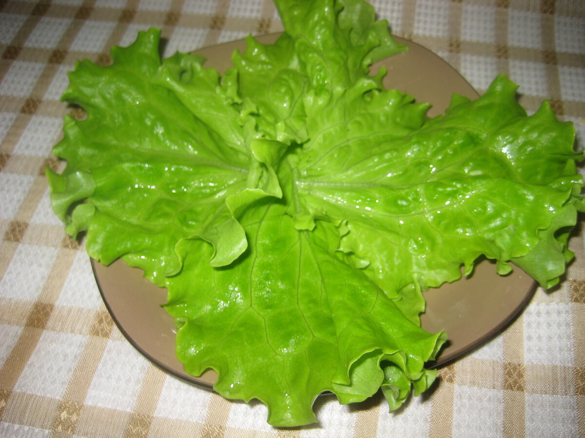 салат хризантема рецепт с чипсами фото