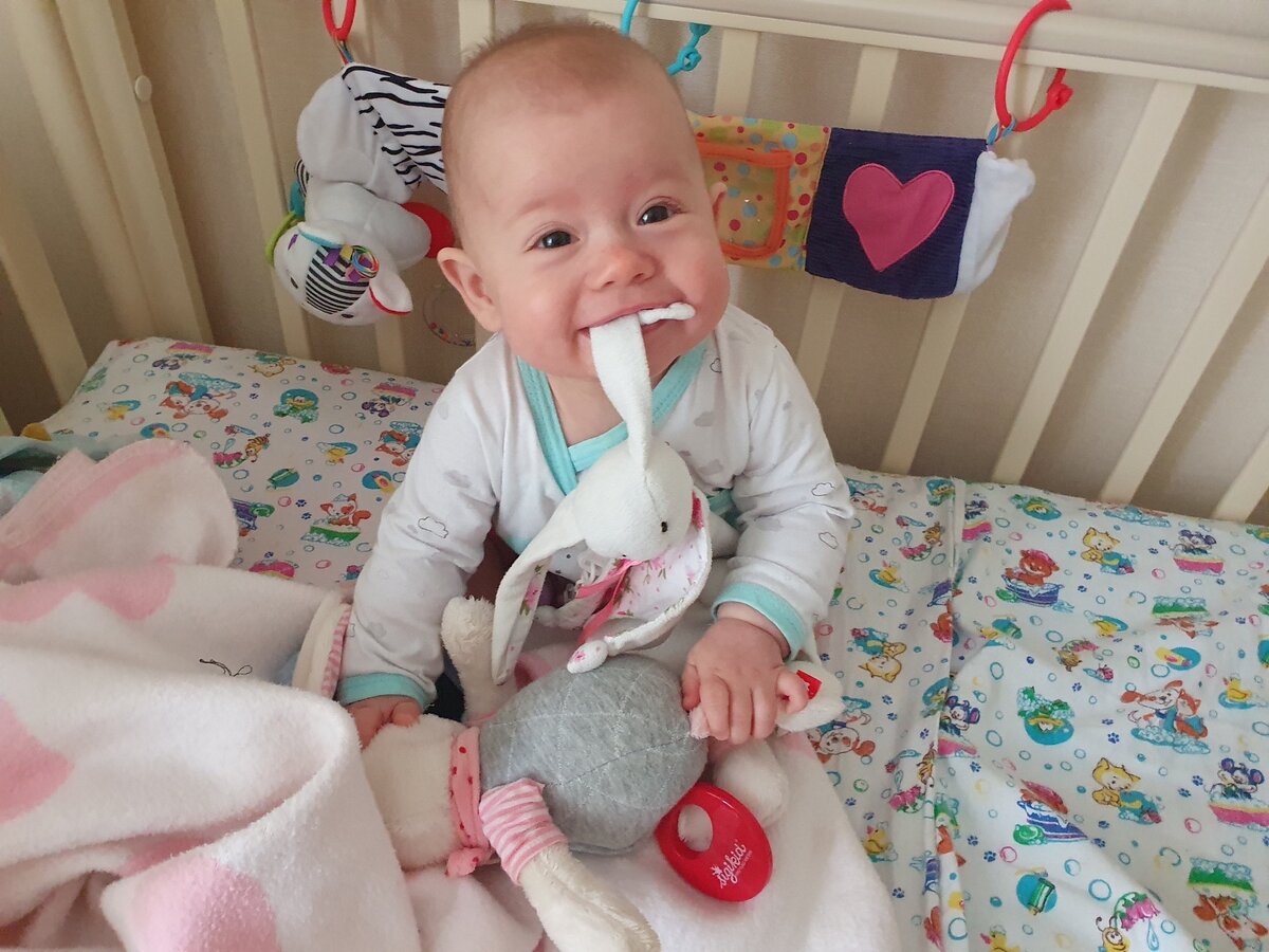 Кушаем зайчика