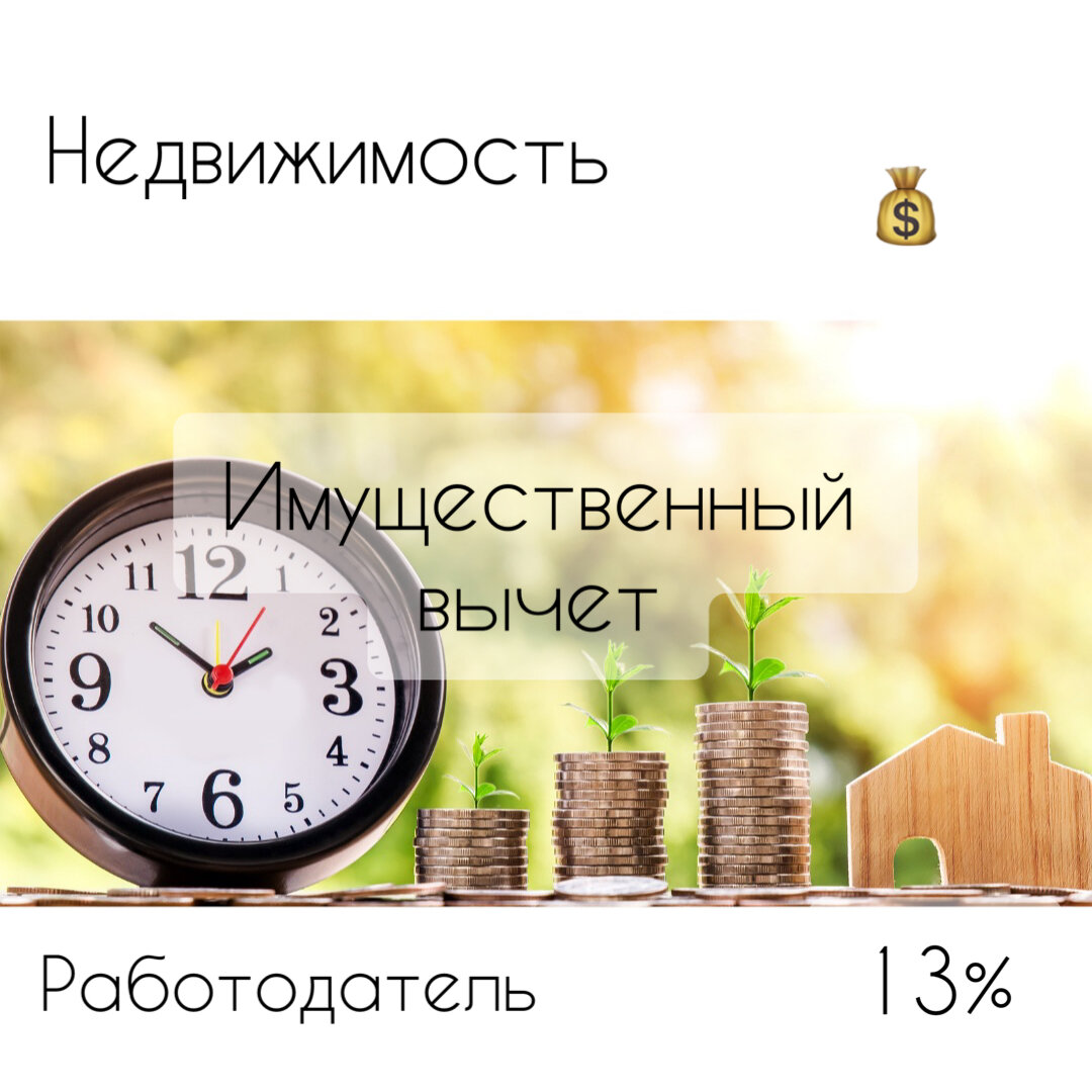 Фото: Мудрый Кэтик