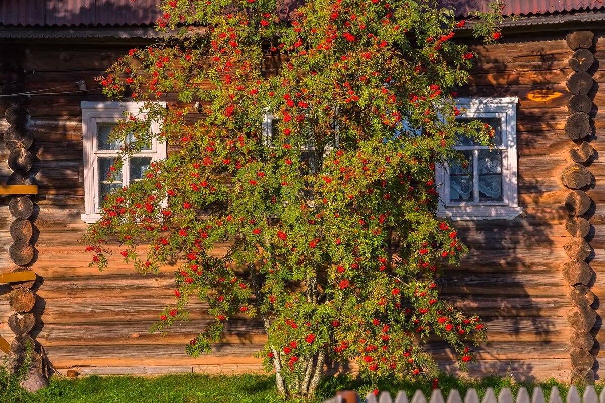 фото из интернета