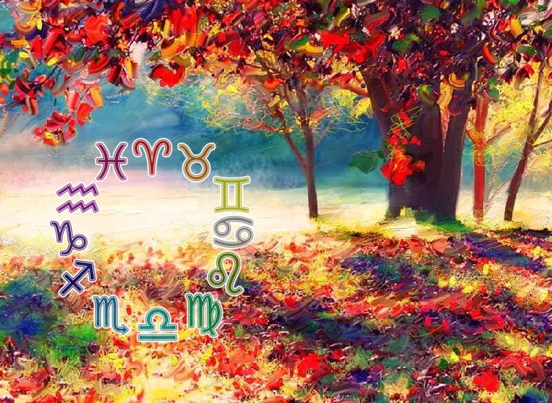 yandex.ru/images