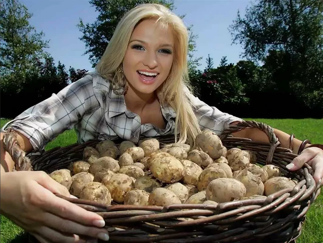 Приму картошку. Девушка с картошкой. Фотосессия с картошкой. Картофель и девушка. Девушка с мешком картошки.