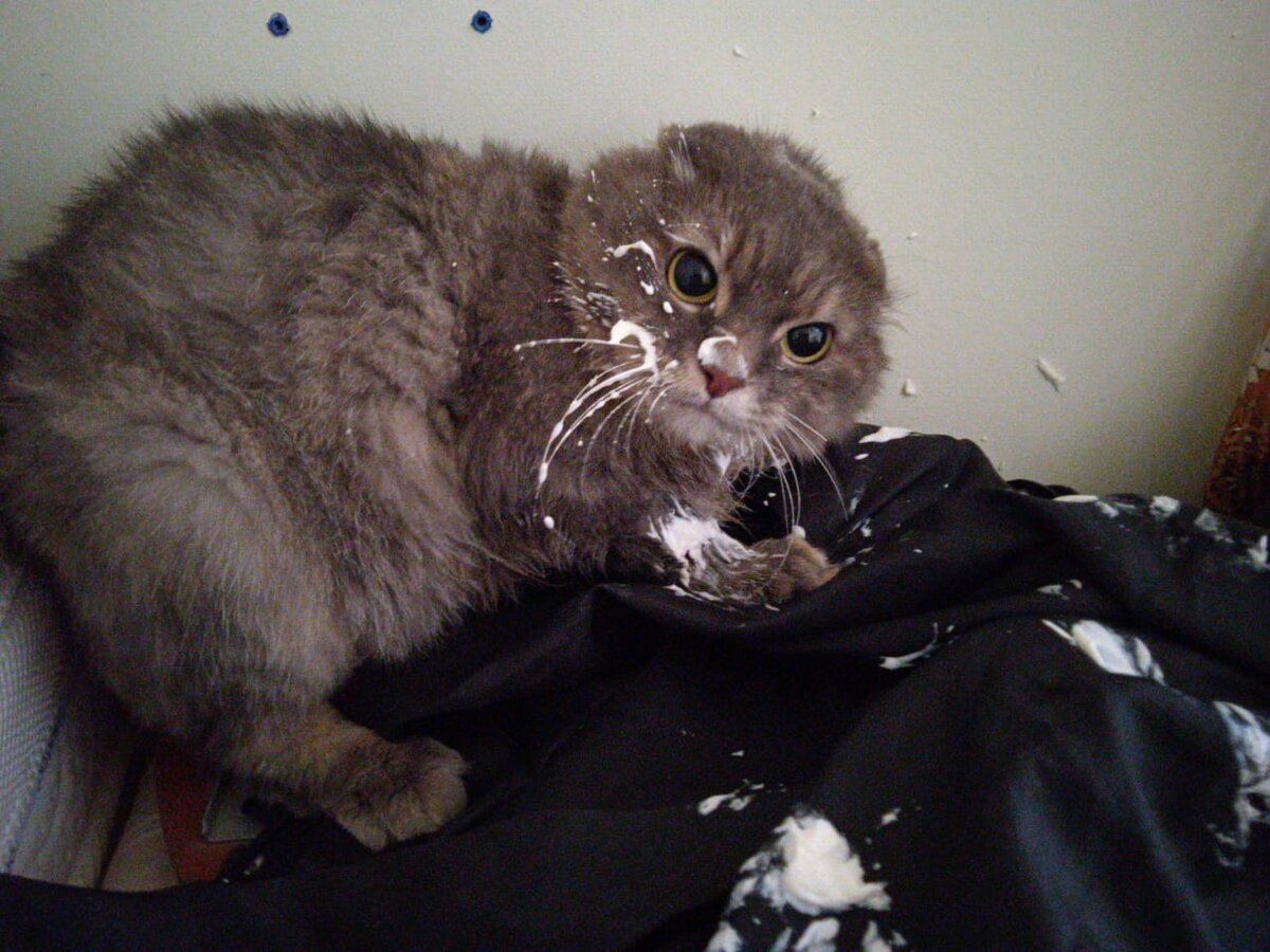 Фотографии Мани в "прямом кефире" получилась только одна.