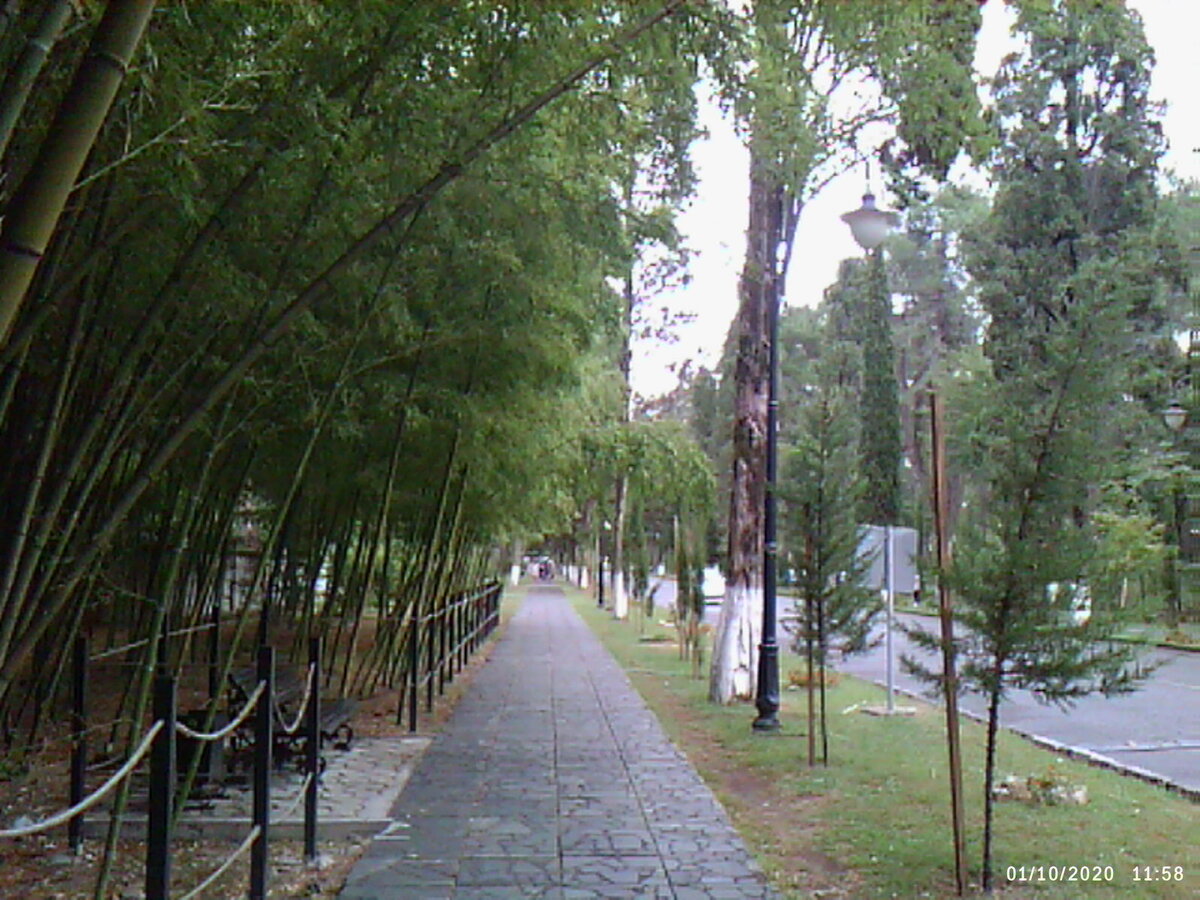 Аллея к морю.