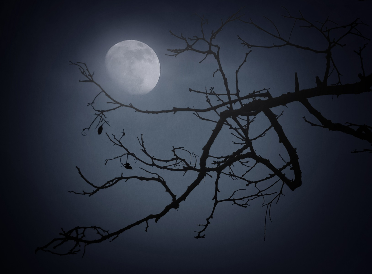 Изображение из публичного доступа в сети Интернет