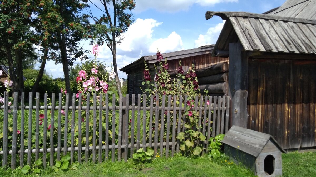 Палисадник.