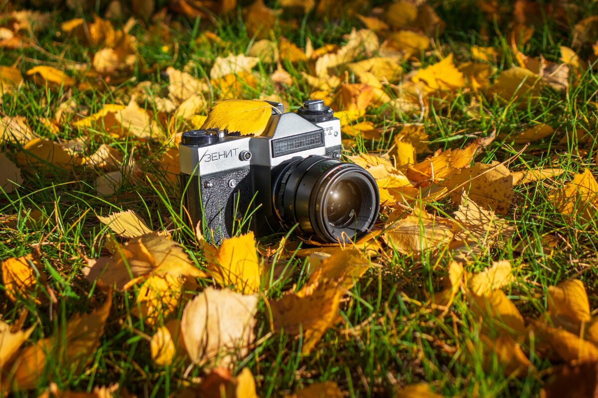 фото осень 2020