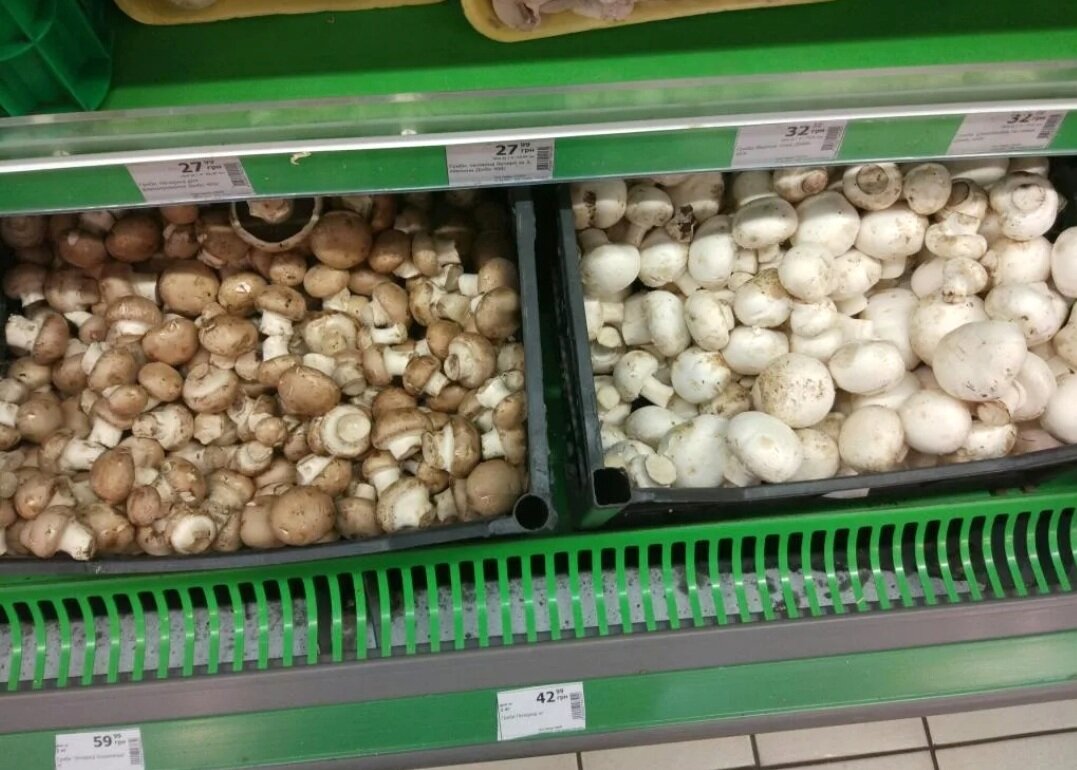 грибы на базаре. грибы. торговля грибами. можно ли продавать грибы. какие грибы не чернеют при сушке.