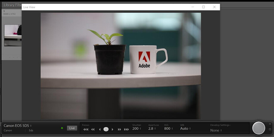 Режим Live View при съёмке в компьютер