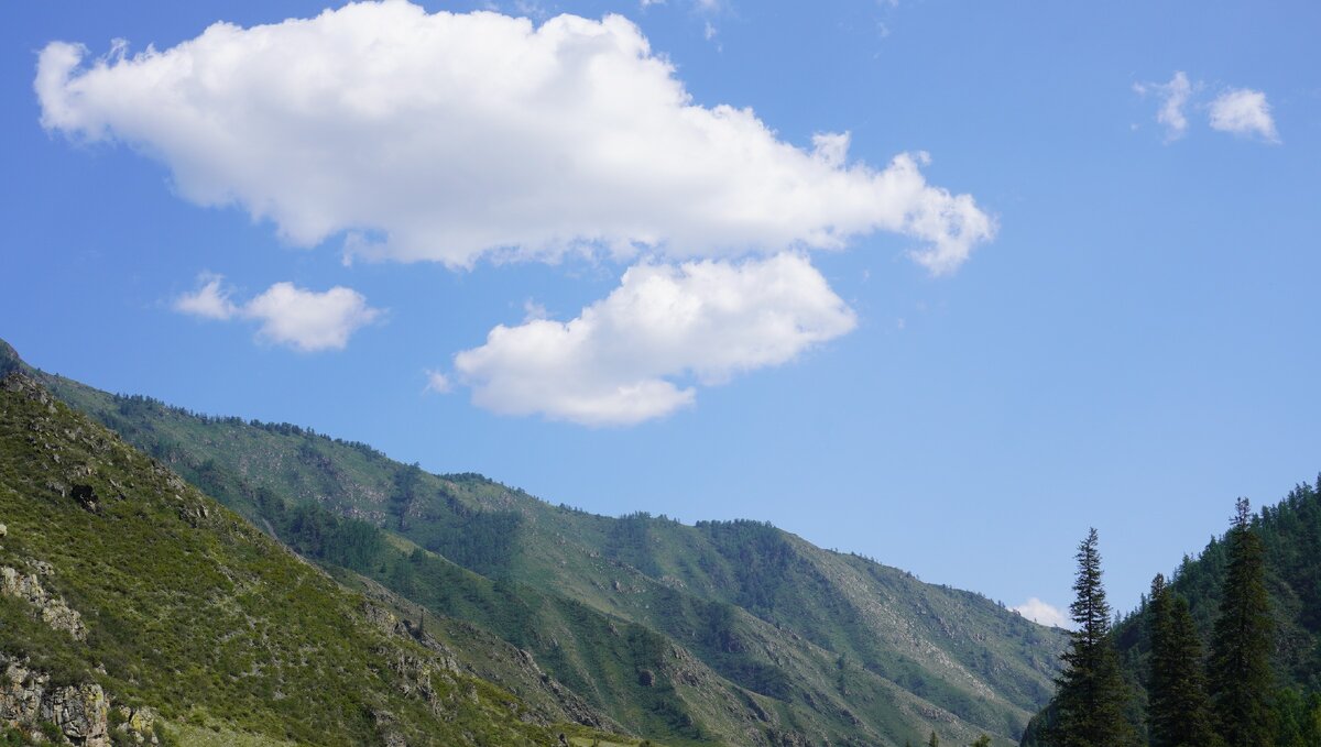 Алтайский тест на голубой цвет монитора