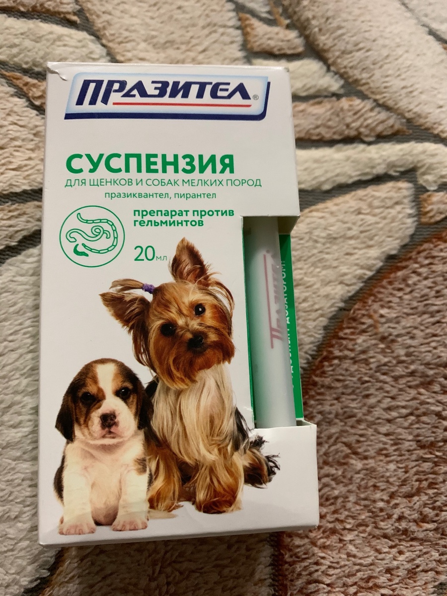 Стоимость 210р