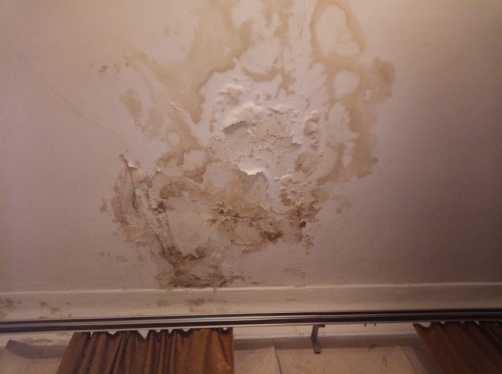 После дождя