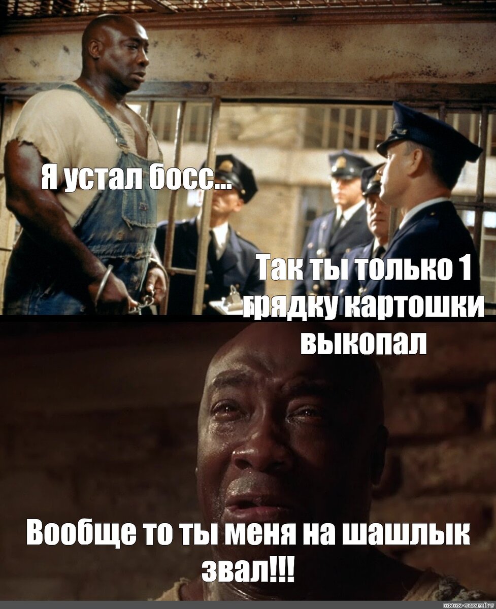 Вообще-то ты меня на шашлык звал.