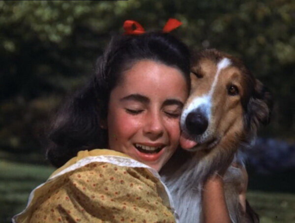 Элизабет Тейлор в фильме "Лэсси возвращается домой" (1943)