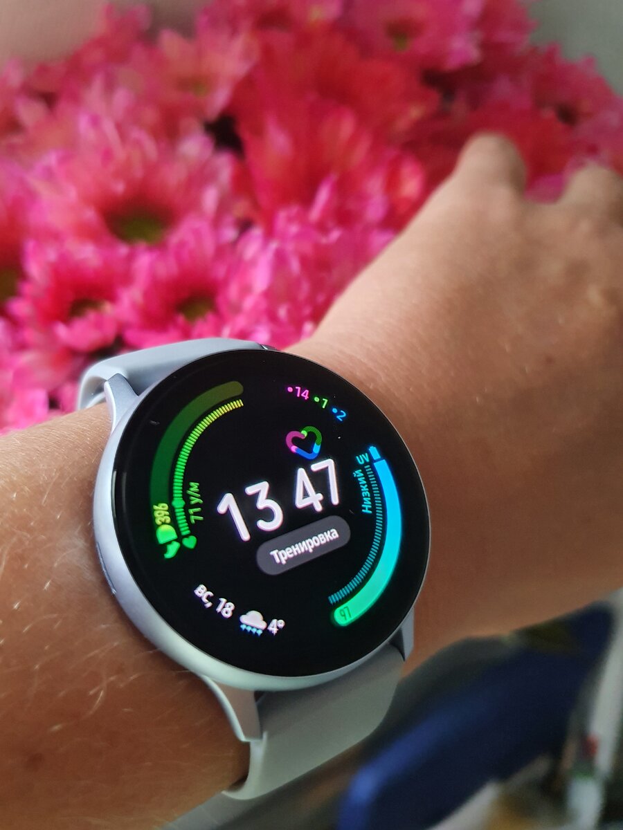 Фото автора.