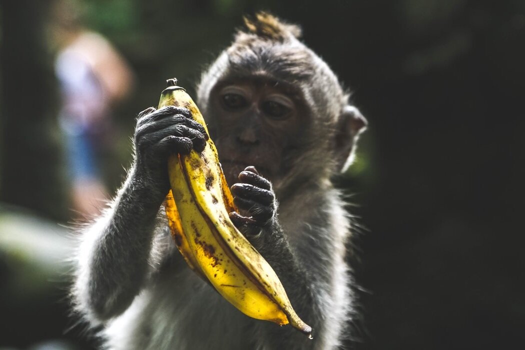 Фото: https://unsplash.com.