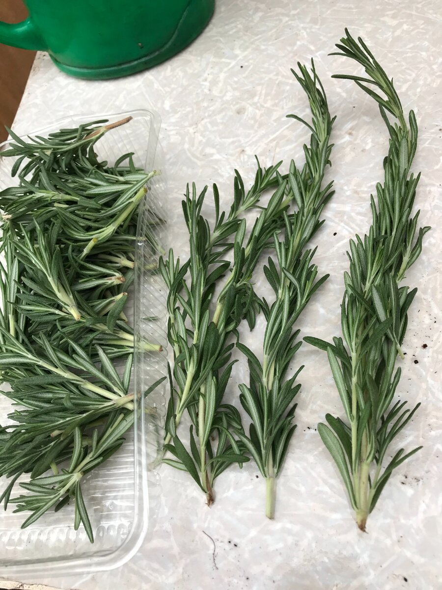 материал для эксперимента