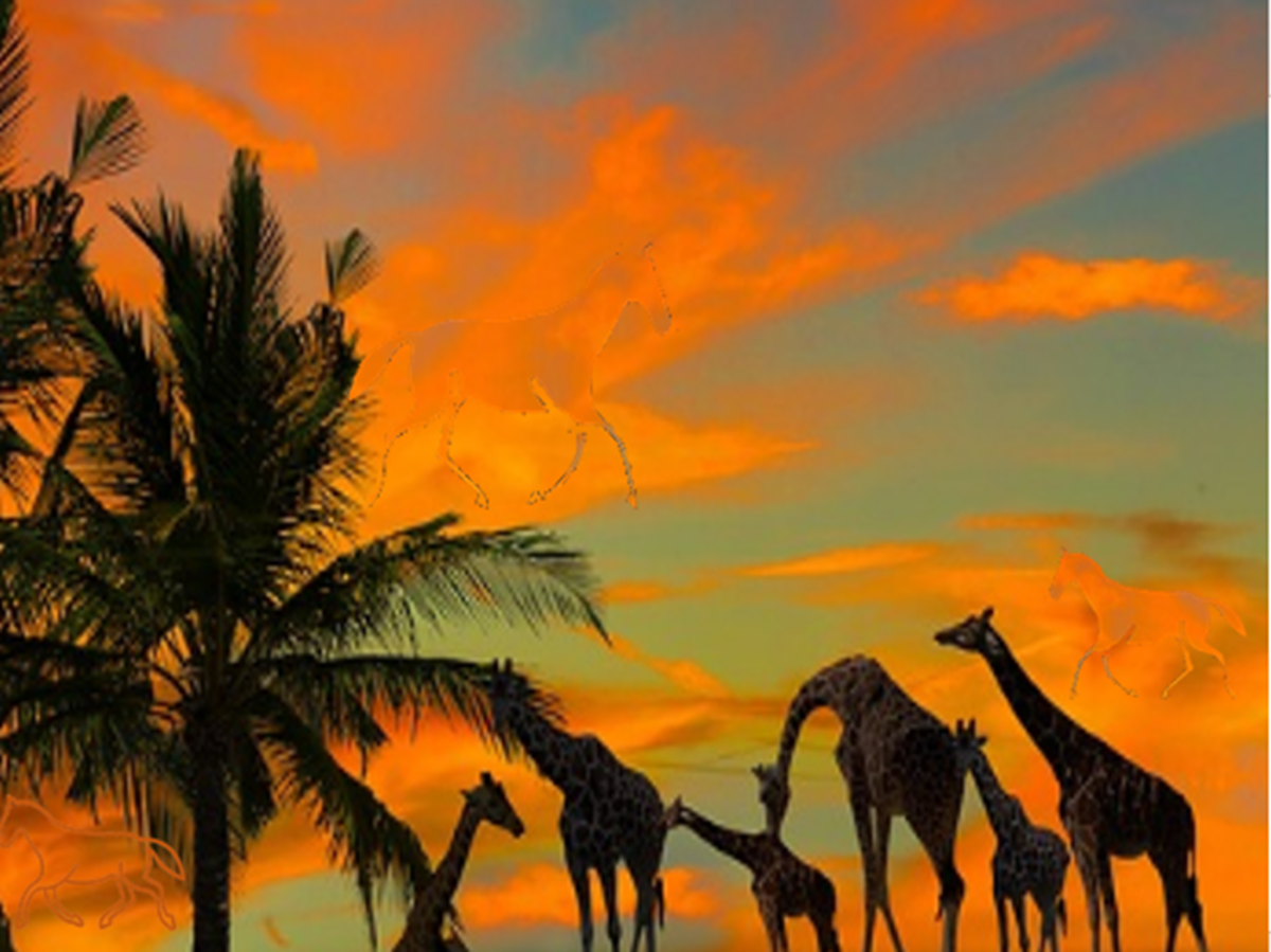 Где спрятались 3 лошади? Оригинальная картинка pixabay.com