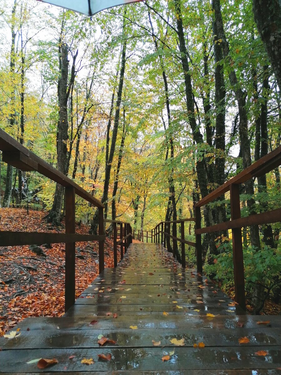 Тропинка на Джур-Джур