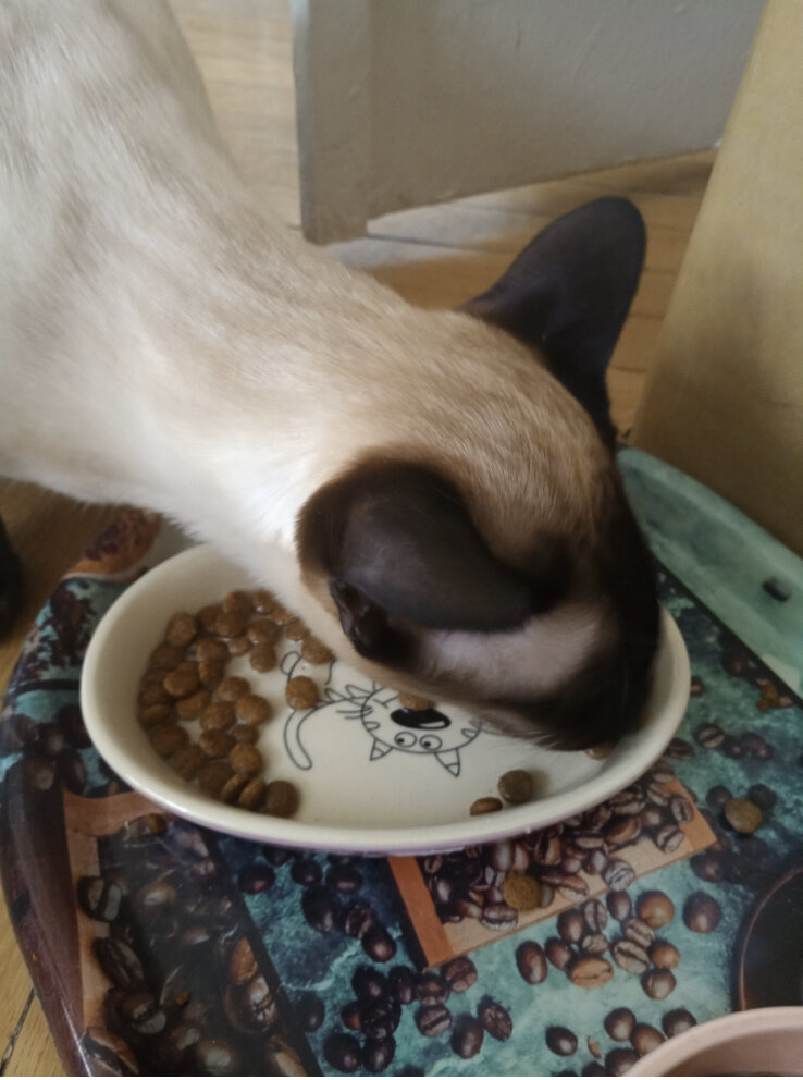 Фото автора публикации