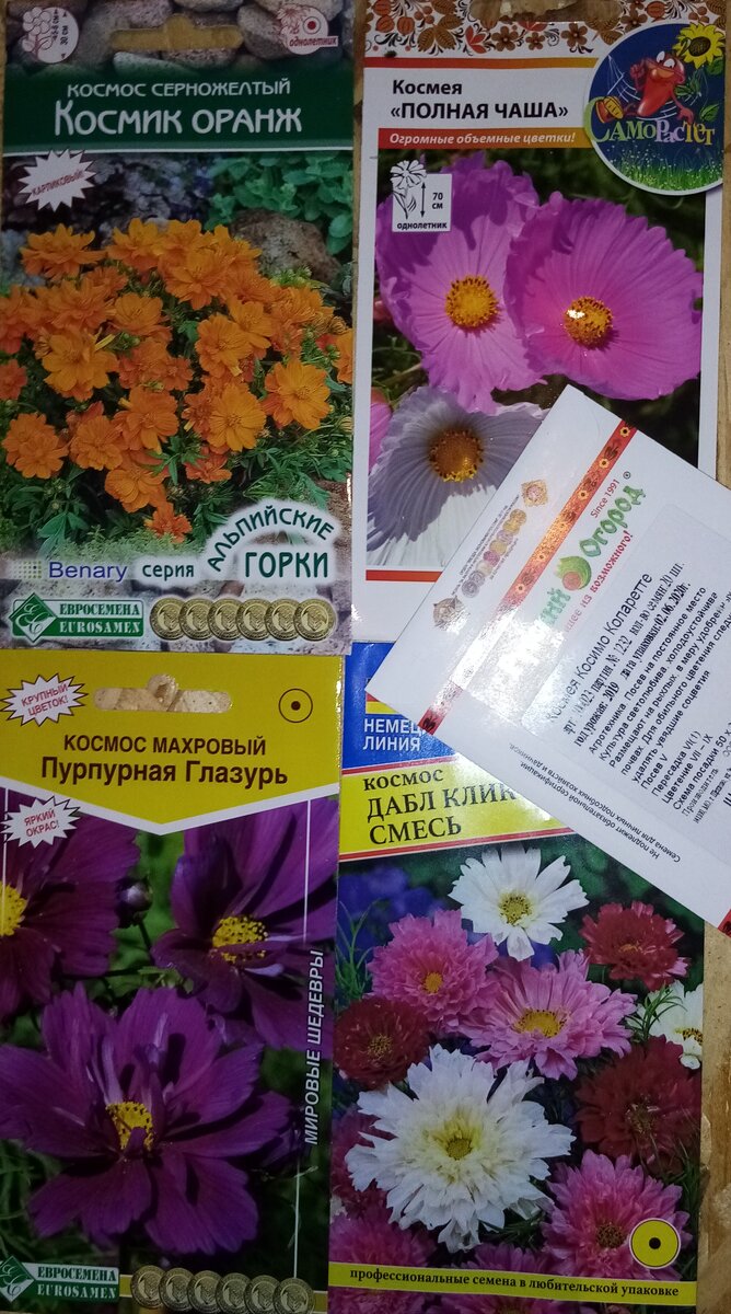 Космеи