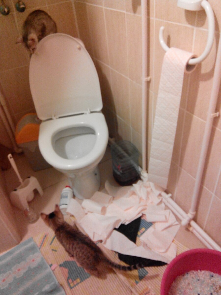 Бумага, салфетки - отличные игрушки!  