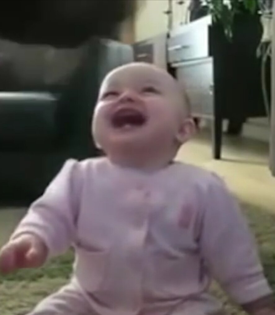 Весёлая жизнь.