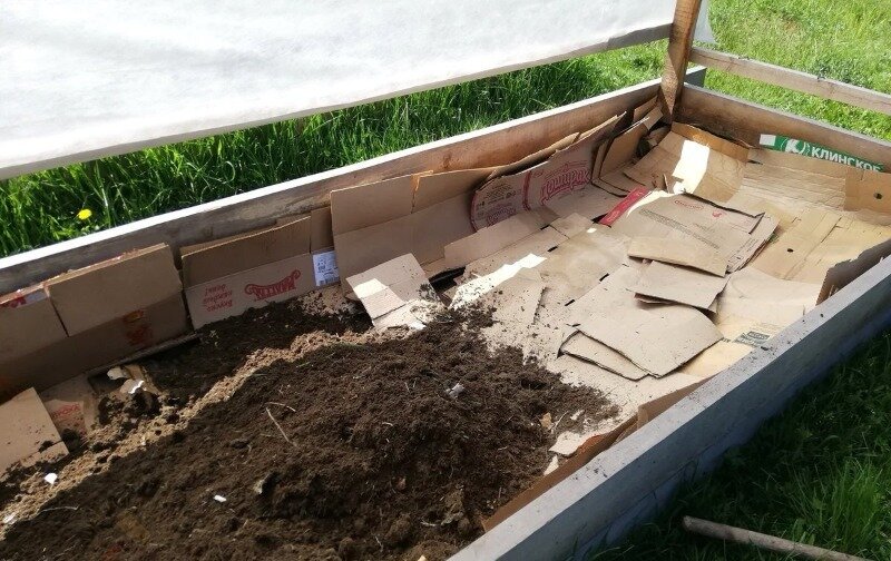 Источник фото rmnt.ru