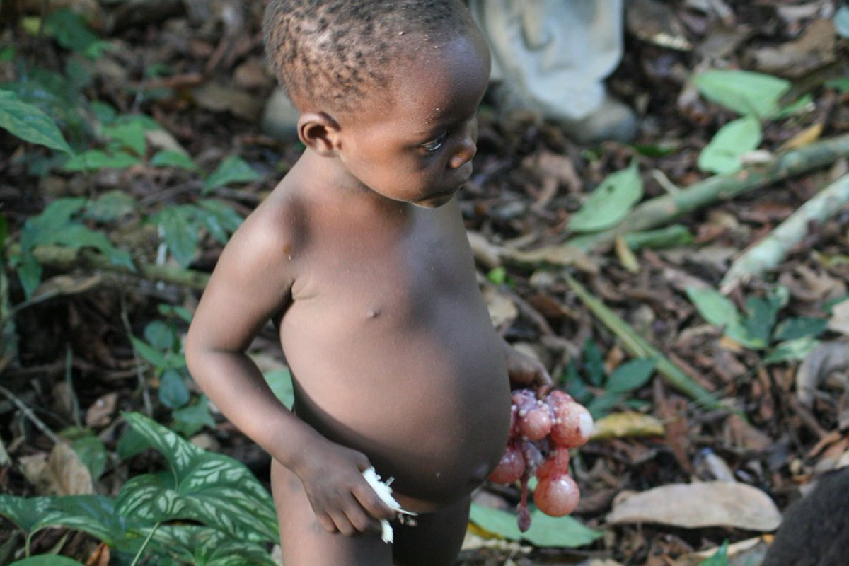 Фото взято из общедоступных источников