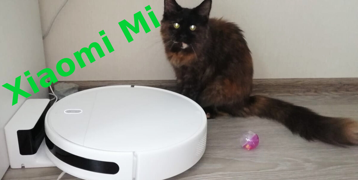 Это что, хозяйка?))