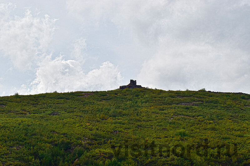 Снизу вверх :) ну, как снизу..