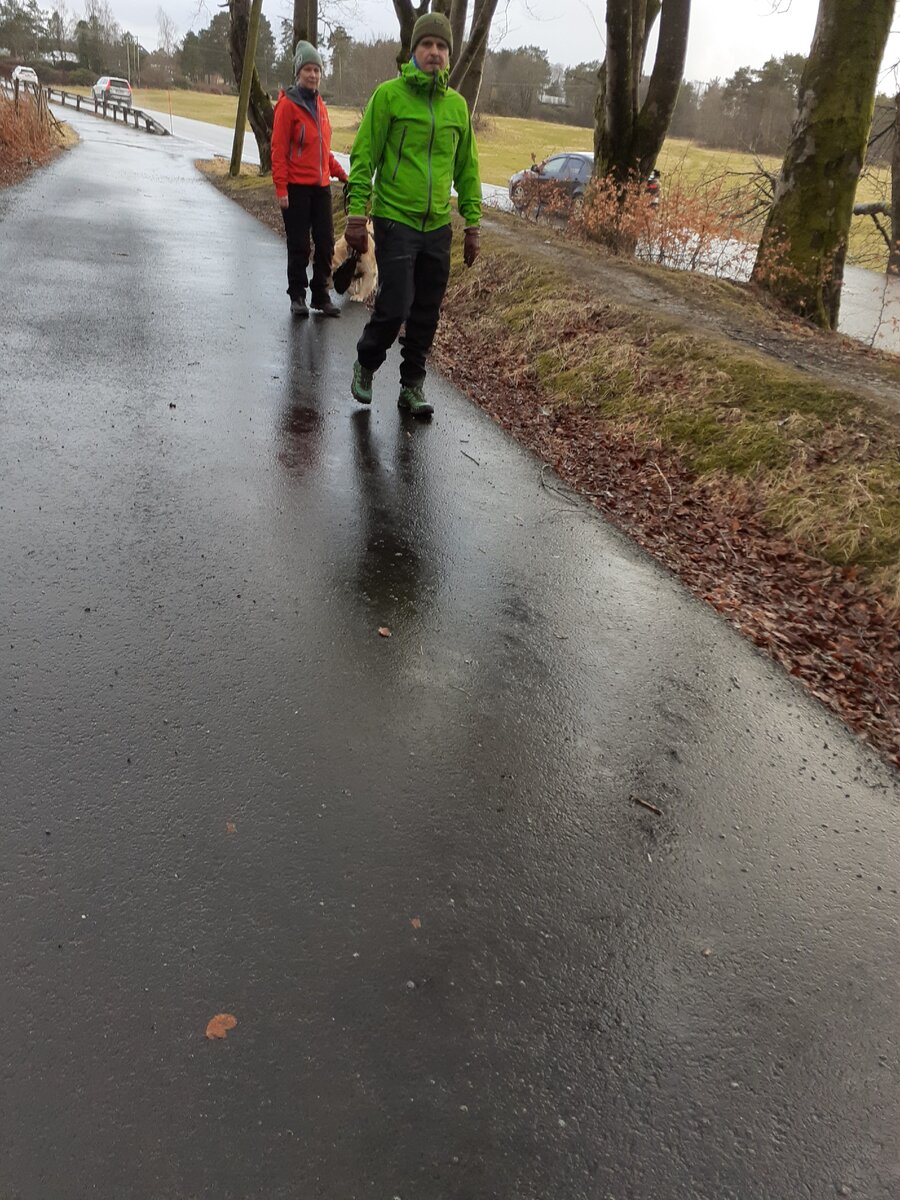 Хозяева выгуливают собак и берут для этой цели с собой специальные черные пакеты. Фото автора.