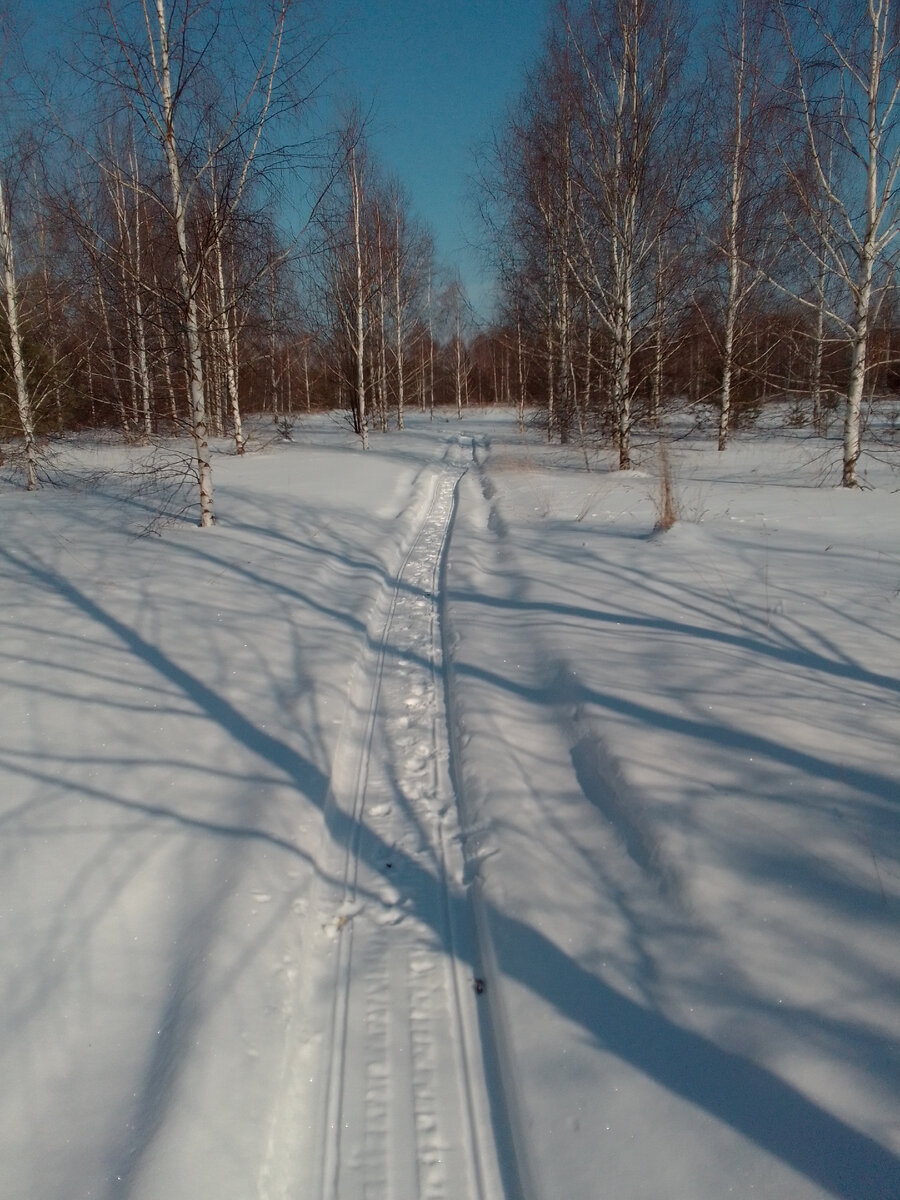 Не удержался, снова на лыжах в баню. Середина марта.
