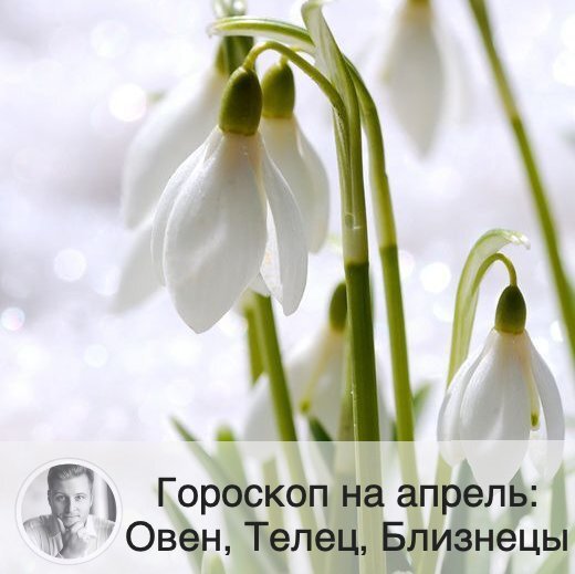 Подписывайтесь и ставьте 👍
Гороскоп для всех знаков зодиака можно посмотреть на моем сайте в разделе «Статьи». Чтобы узнать подробнее, что вас ждет, заказывайте личный прогноз по ссылке в описании профиля. 
🐏 Овен
❤️ У Овнов начинается новый жизненный цикл. Сейчас вам будет особенно легко производить хорошее впечатление и распространять свое влияние на окружающих. В этом месяце на первый план выйдут вопросы, связанные с вашей личностью, самовыражением, поведением и внешним видом. В апреле вопросы личной жизни будут на первом месте. В вопросах любви это будет довольно стабильный период.
💶 В апреле вы сможете решить любые проблемы. Сейчас хорошо начинать новые дела. В финансовом плане месяц обещает быть успешным.
🤒 Ваше физическое здоровье во многом будет зависеть от вашего душевного состояния.

🐂 Телец
❤️ В отношениях постарайтесь не зацикливаться на себе, иначе ваш партнер будет чувствовать себя некомфортно. В начале месяца эмоции будут особенно бурными, возможно расставание или разлука. Если вы одиноки, то для поиска партнера рекомендуется вторая половина месяца.
💶 В апреле Тельцы будут особенно активны и амбициозны в достижении своих целей. Заключение договоров и ведение переговоров удачнее пройдут в последней декаде месяца.
🤒 Следите за стрессами, постарайтесь вести здоровый образ жизни.

👯‍♀️ Близнецы
❤️ Близнецы будут особенно любвеобильны в этом месяце, и даже те, кто состоит в отношениях, могут завести роман на стороне. Скорее всего это будет очень быстротечная связь, и из-за нее вряд ли стоит рисковать отношениями.
💶 В апреле более успешными будут коллективные проекты. Ту деятельность, где вы работаете в одиночку, лучше отложить на конец месяца. Апрель не обещает каких-либо потрясений или изменений по работе.
🤒 Близнецы будут полны энергии. В апреле стоит опасаться травм. Сейчас хорошо избавляться от вредных привычек и заниматься профилактикой старых заболеваний, чтобы они не обострились.