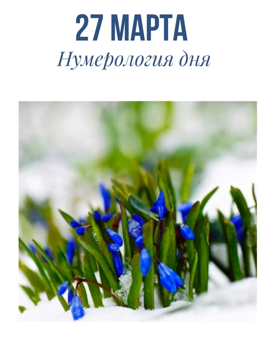 Нумерологический прогноз - лучший проект года!