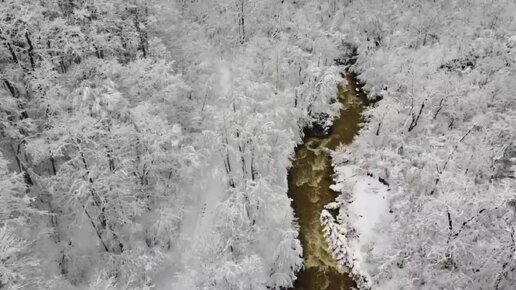 Красота Гуамского ущелья в конце марта после сильного снегопада