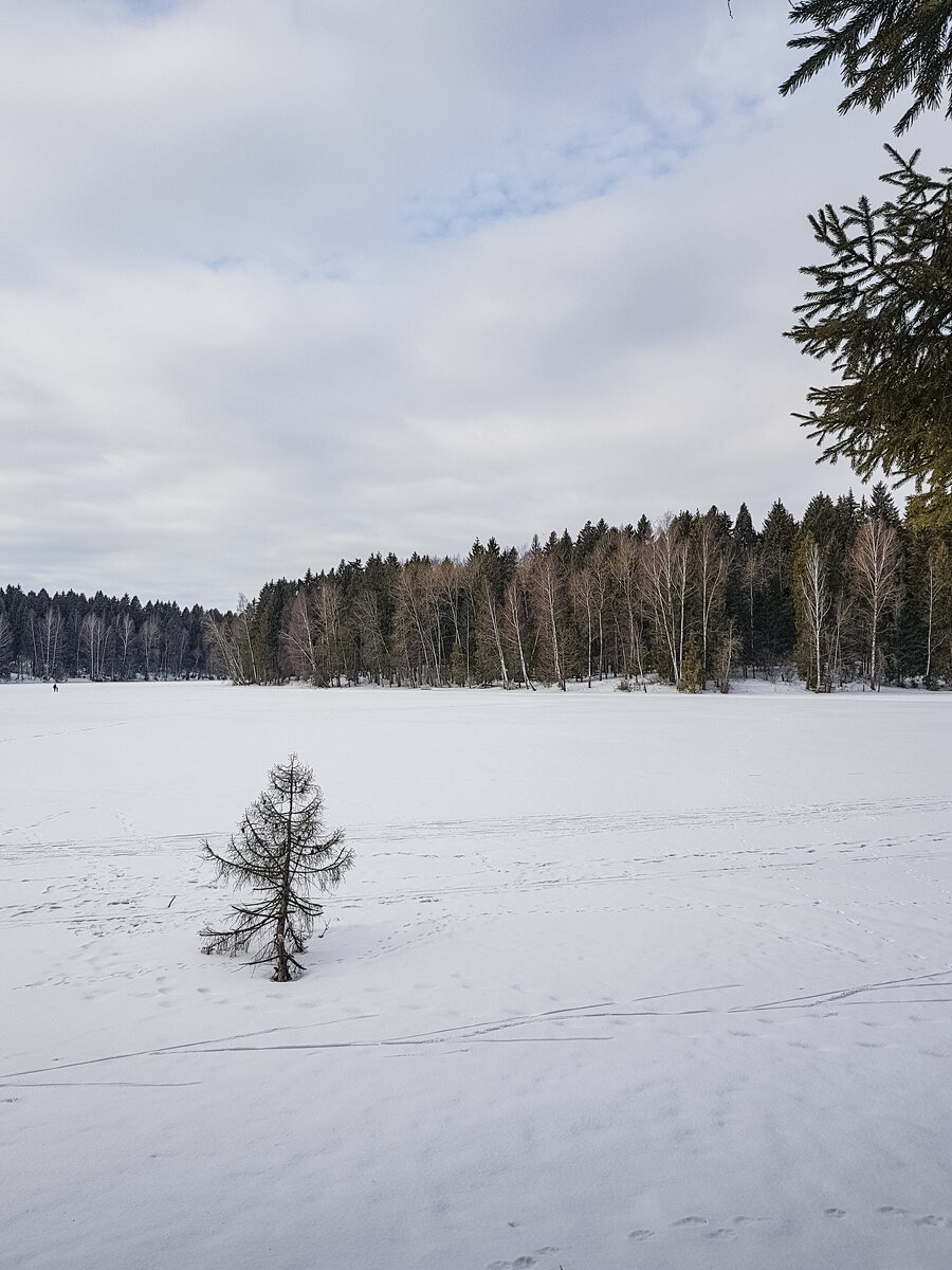 Лесное озеро