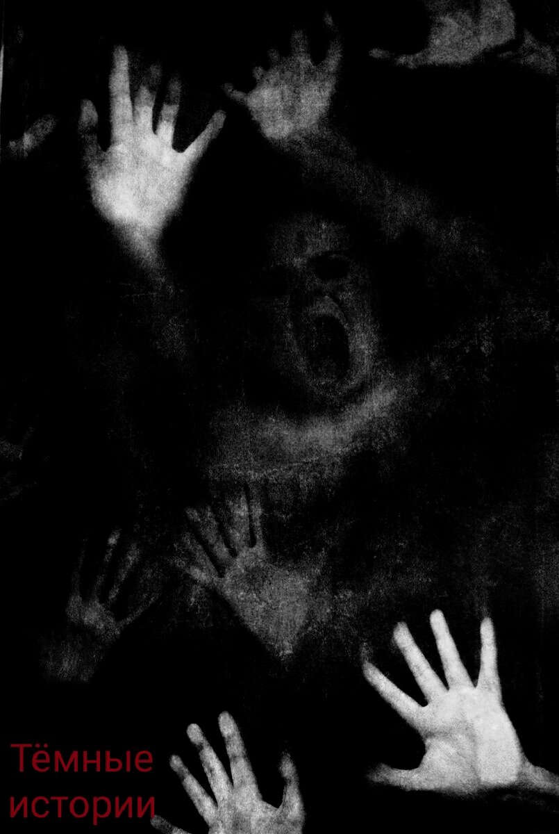 Изображение для иллюстрации.