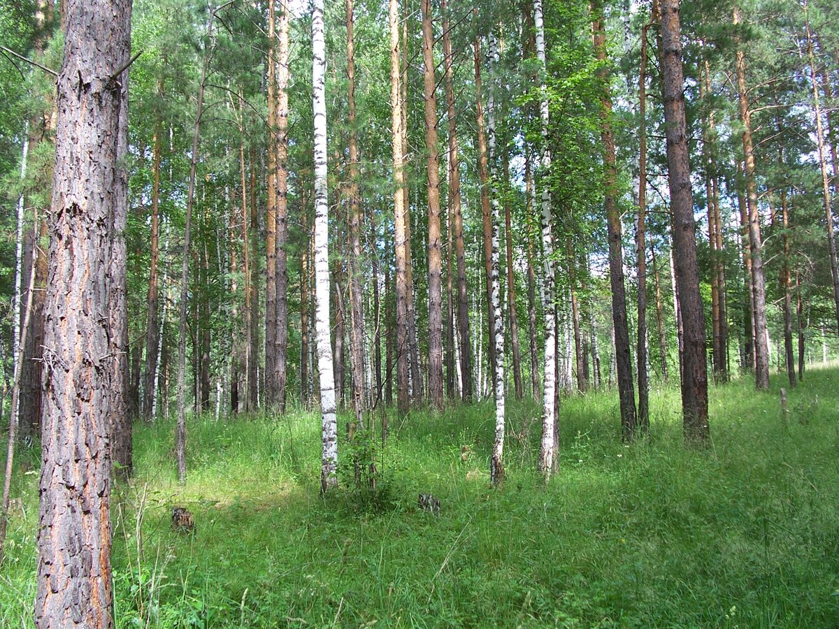 Можно листать.