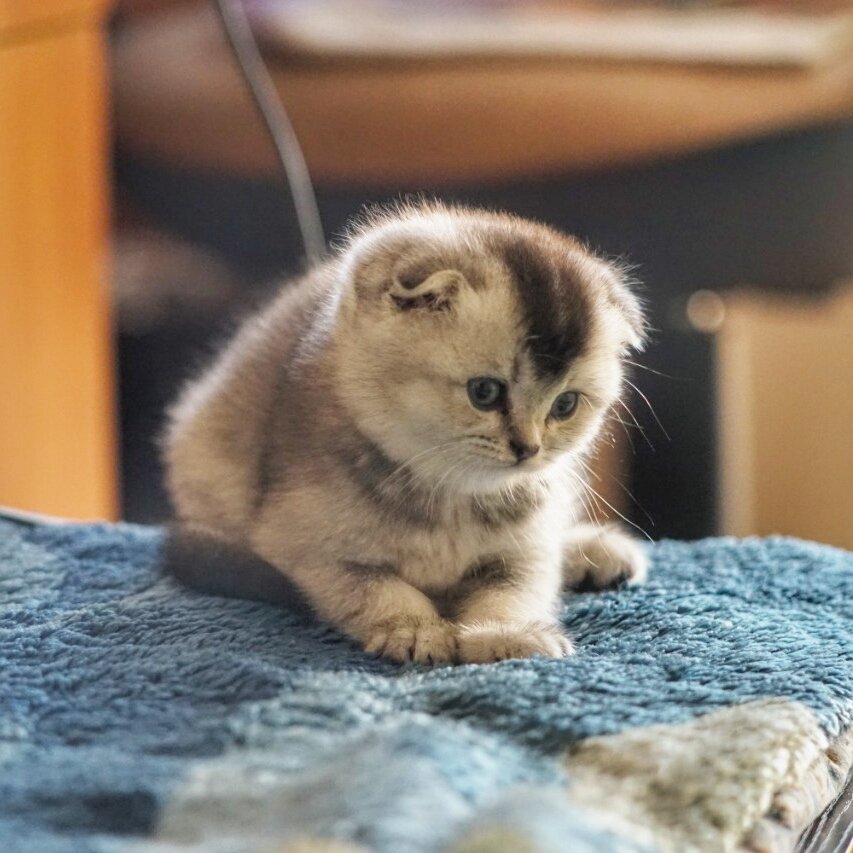 Немного растеряна в новом месте