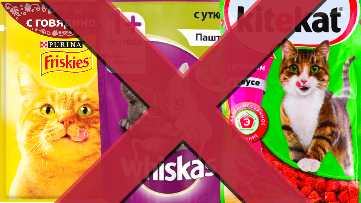Опасные корма для жизни животных