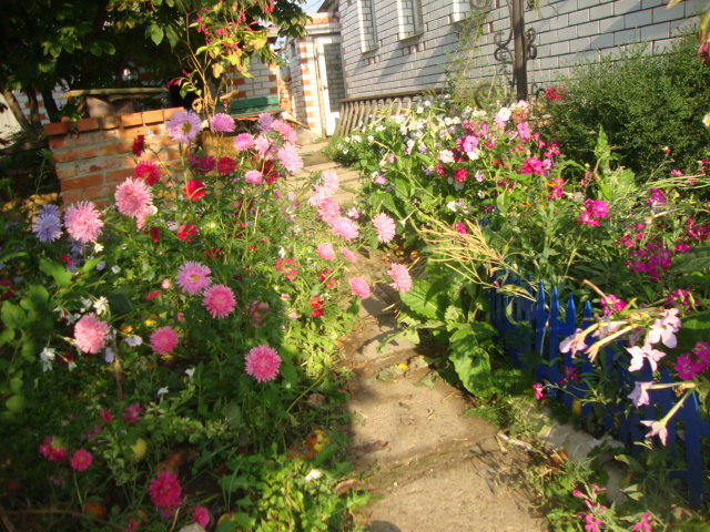 немного солнца и радости